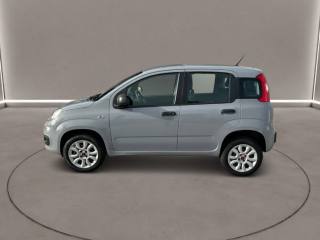 FIAT Panda usata, con ESP