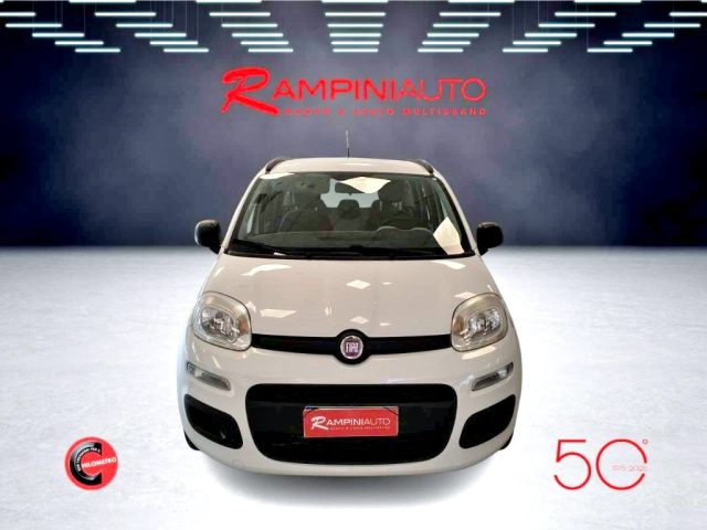 FIAT Panda usata 2