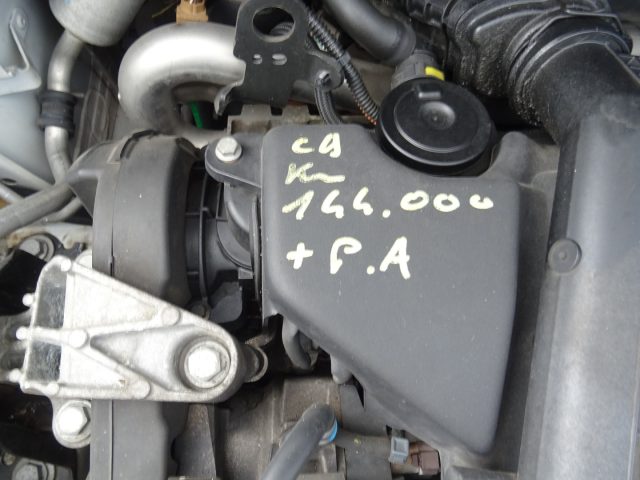 RENAULT Clio usata 15