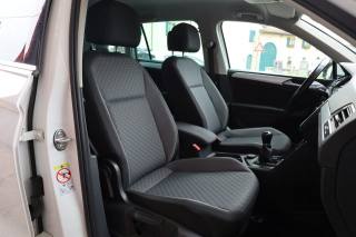VOLKSWAGEN Tiguan usata, con Cronologia tagliandi