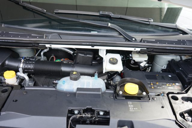 RENAULT Trafic usata 30