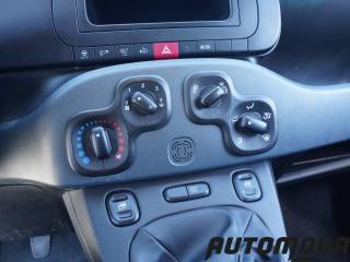 FIAT Panda usata 14