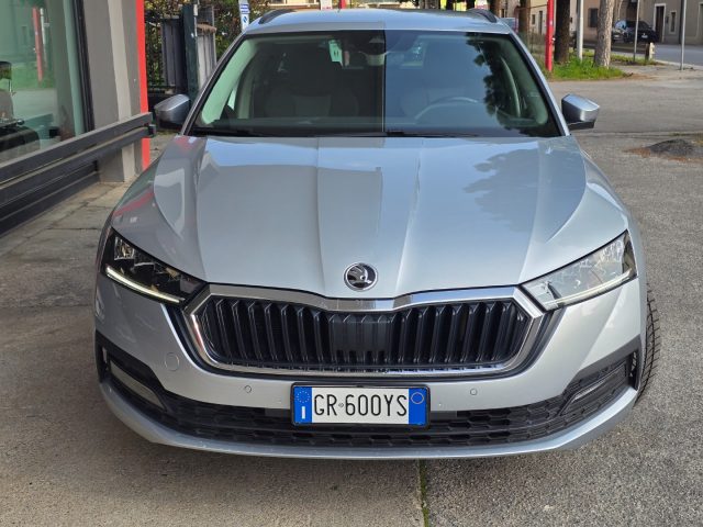 SKODA Octavia usata 141