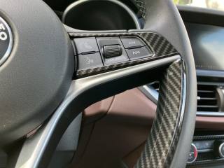 ALFA ROMEO Stelvio usata, con Trazione integrale