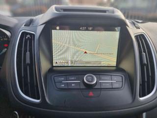 FORD C-Max usata, con Fendinebbia