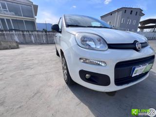 FIAT Panda usata 19