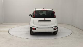 FIAT Panda usata, con Airbag Passeggero