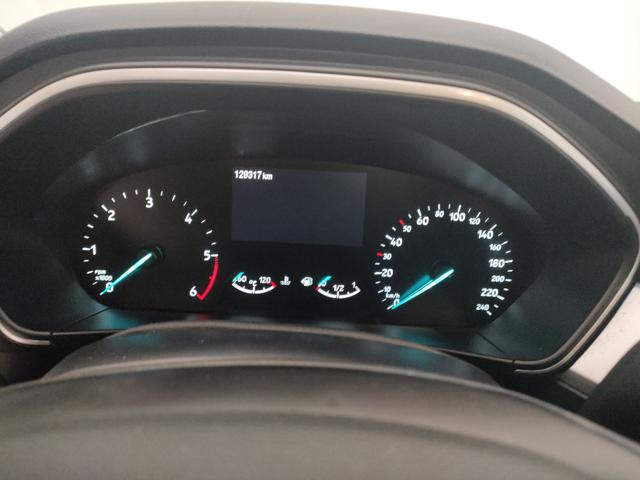 FORD Focus usata, con Fendinebbia