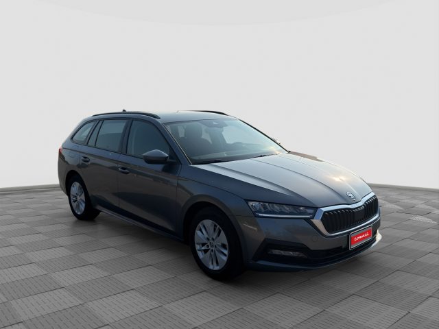 SKODA Octavia usata 6