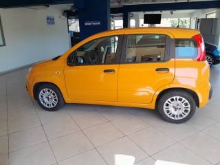 FIAT Panda usata, con Climatizzatore