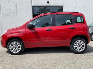 FIAT Panda usata, con Airbag testa