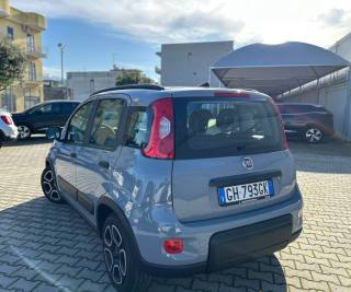FIAT Panda usata, con Alzacristalli elettrici