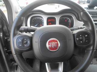FIAT Panda Cross usata, con Controllo trazione