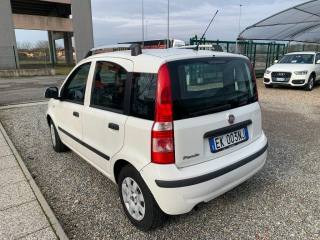 FIAT Panda usata, con Boardcomputer