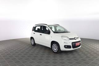 FIAT Panda usata 1