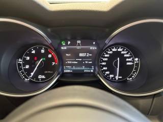 ALFA ROMEO Stelvio usata, con Climatizzatore