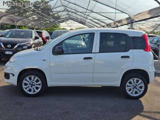 FIAT Panda usata, con Airbag testa