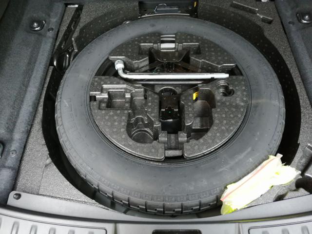 LAND ROVER Range Rover Evoque usata, con Vetri oscurati