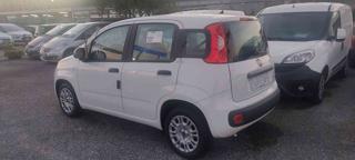 FIAT Panda usata, con Airbag