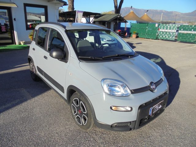 FIAT Panda usata 18
