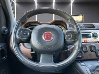 FIAT Panda Cross usata, con Fendinebbia