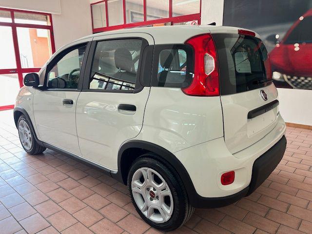 FIAT Panda usata, con Alzacristalli elettrici
