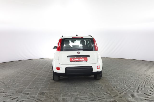 FIAT Panda usata 4
