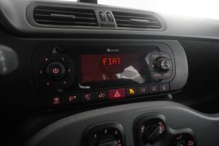 FIAT Panda usata 7