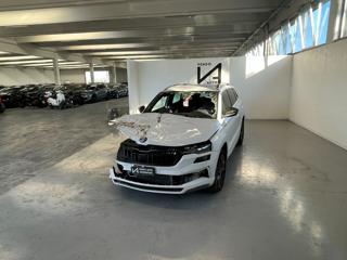 SKODA Karoq usata, con Autoradio