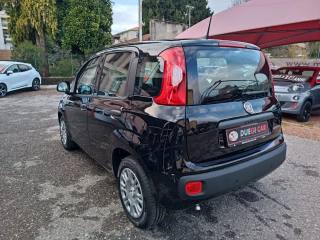 FIAT Panda usata, con Antifurto
