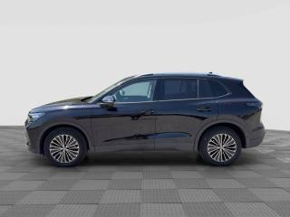 VOLKSWAGEN Tiguan usata 1