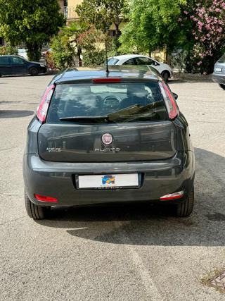 FIAT Punto usata, con Cerchi in lega