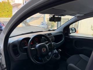 FIAT Panda usata, con Kit antipanne