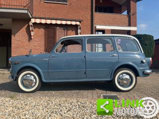 FIAT 1100 usata 26