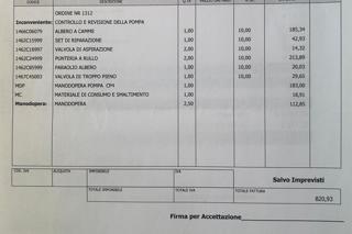 BMW 530 usata, con Bracciolo