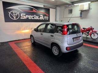FIAT Panda usata 3