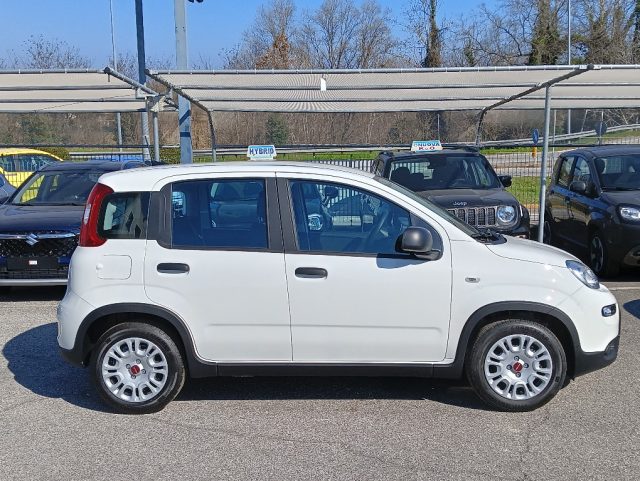 FIAT Panda usata, con Alzacristalli elettrici