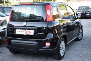 FIAT Panda usata, con Airbag Passeggero