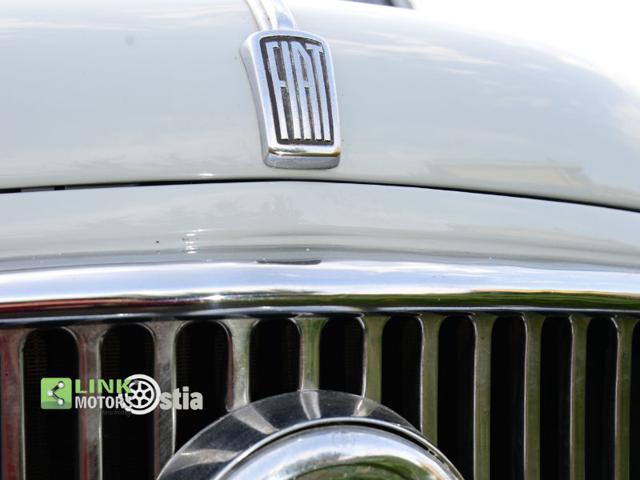 FIAT 1100 usata 14