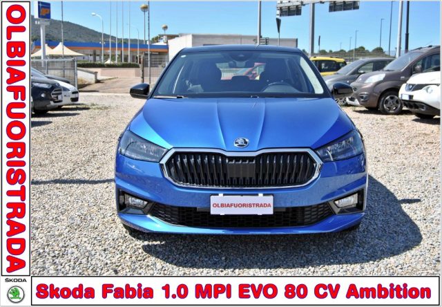 SKODA Fabia usata, con ABS