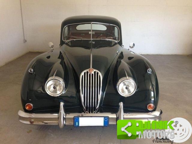 JAGUAR XK usata 14