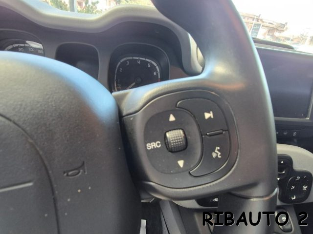 FIAT Panda Cross usata, con Servosterzo