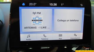 FORD EcoSport usata 53