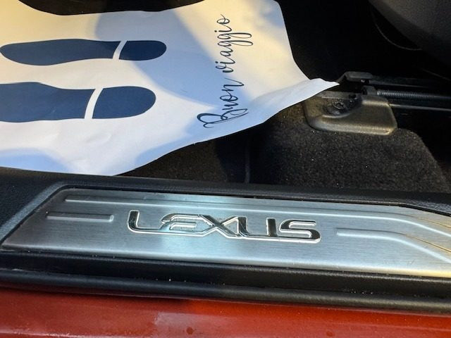 LEXUS NX 300h usata, con Autoradio