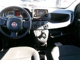 FIAT Panda usata, con Antifurto