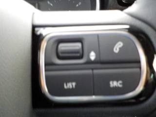 CITROEN C3 Aircross usata, con Controllo vocale
