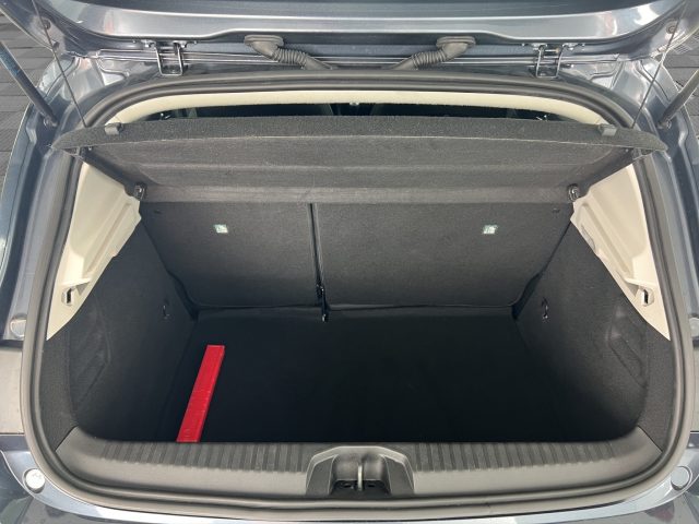RENAULT Clio usata 12