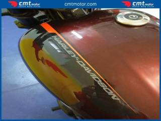 HARLEY-DAVIDSON Other usata 7