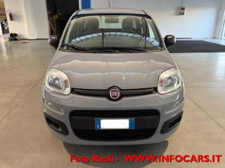 FIAT Panda usata, con Airbag testa