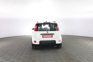 FIAT Panda usata 4